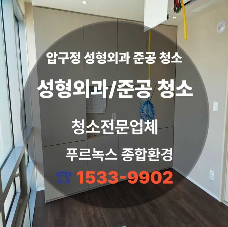 갤러리 이미지 5